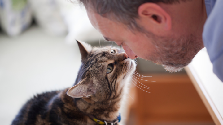 Man and Cat looking face to face